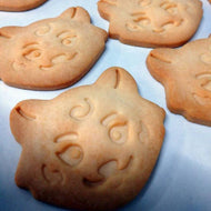 【Dessert de COLOCO（デセール・ドゥ・コロコ】HONEYヴォレクッキー（2025-26 大同生命SV.LEAGUE MEN）